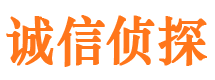 鸡泽侦探调查公司